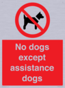 no-dogs-except-assistance-dogs~